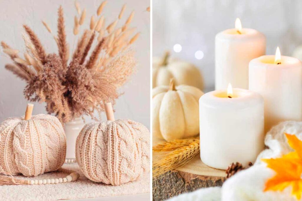 Come usare zucche decorative per un centrotavola scenografico