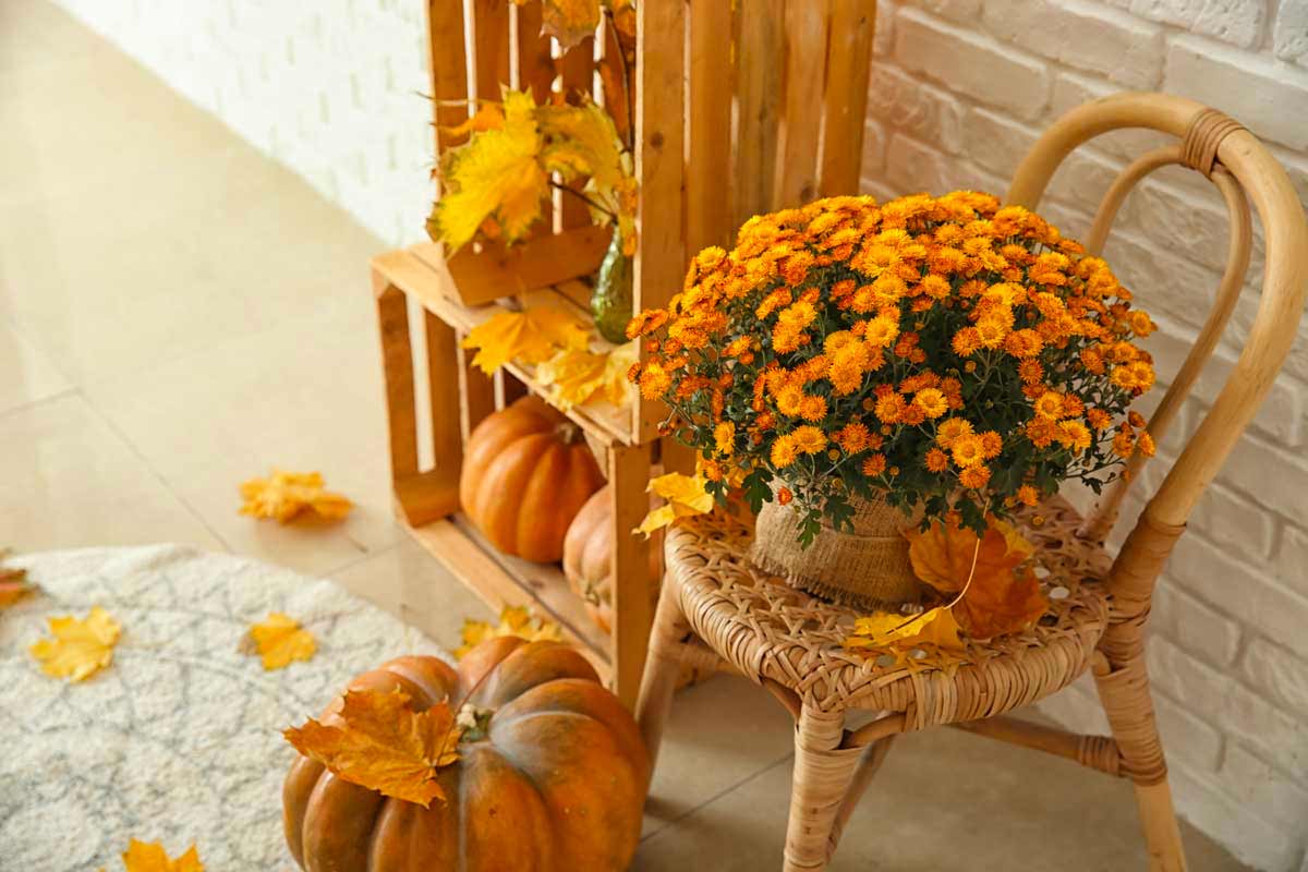decorazioni autunnali