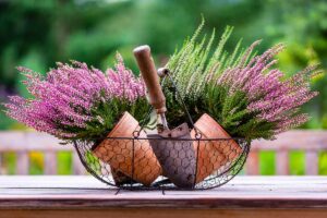 erica centrotavola