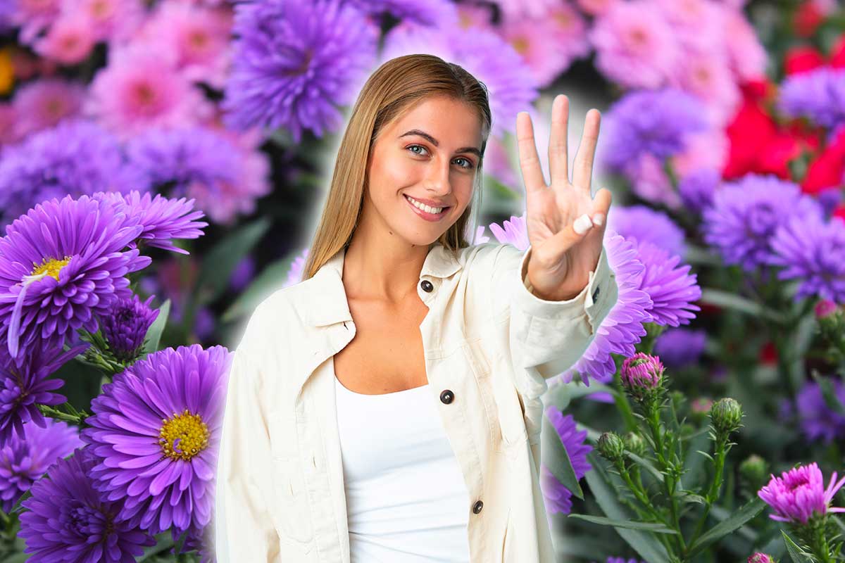 3 piante per aiuola originale e colorata in autunno