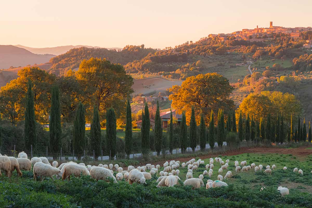 il bordo di Radicondoli in Toscana