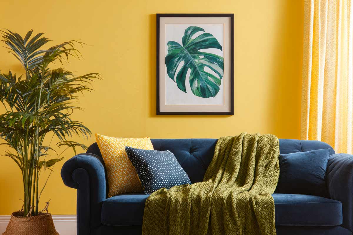 Giallo senape e blu navy