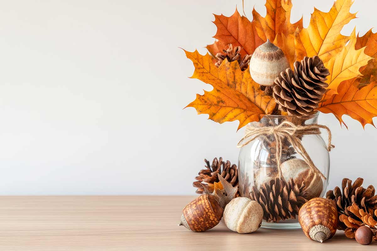 barattolo di vetro con foglie secche e pigne