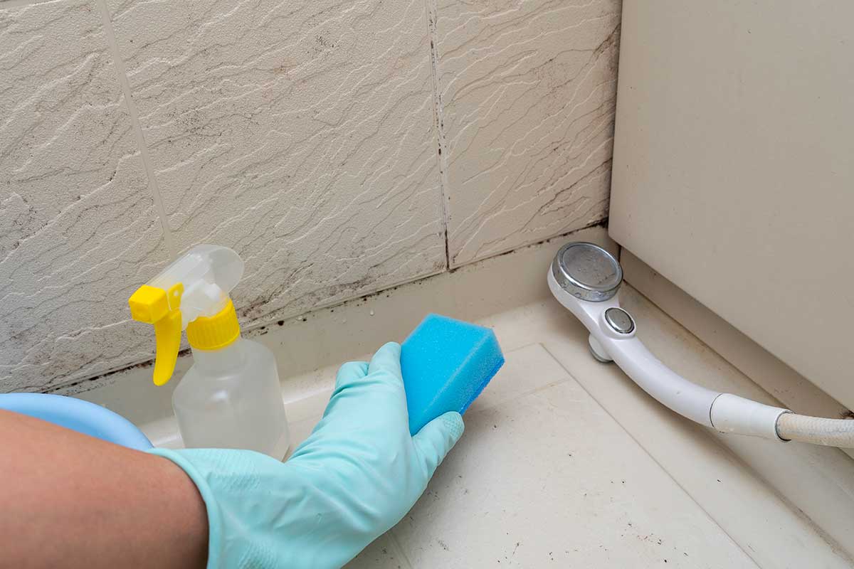 rimedi naturali per eliminare la muffa e mantenere il box doccia brillante