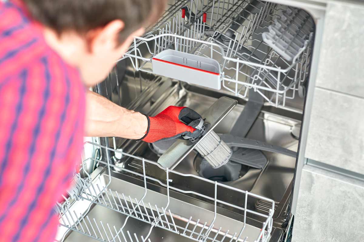 rimozione filtro della lavastoviglie