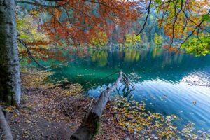 Il lago di Tovel in Trentino