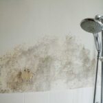 errori che favoriscono la muffa nel bagno