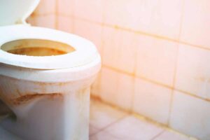 WC incrostato da anni: il metodo più efficace per farlo tornare bianco