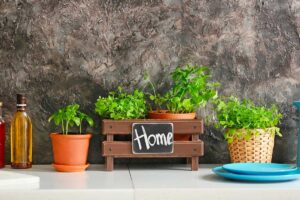 Erbe aromatiche in cucina: luce, calore e piccoli gesti che fanno la differenza