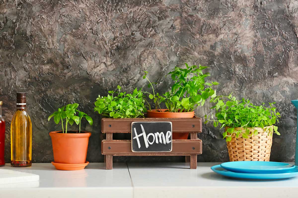 Erbe aromatiche in cucina: luce, calore e piccoli gesti che fanno la differenza