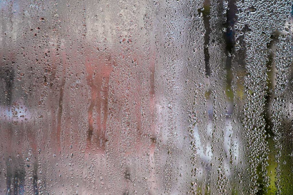 Condensa su vetri e telai: il mix naturale che protegge la casa dalla muffa d’inverno