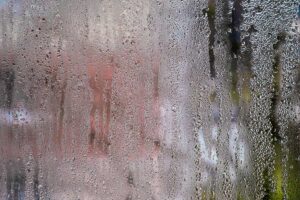 Condensa su vetri e telai: il mix naturale che protegge la casa dalla muffa d’inverno