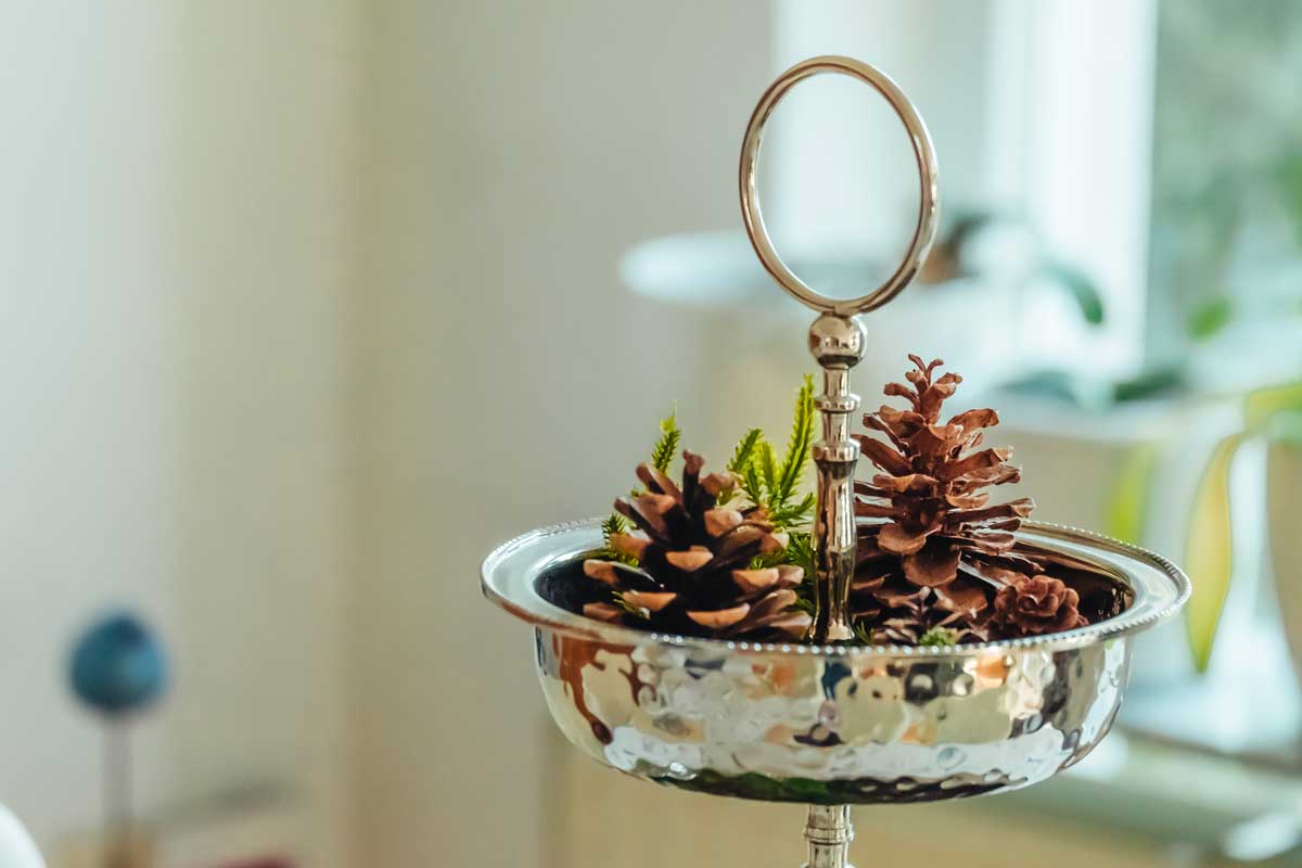 pigne in una coppa d’argento