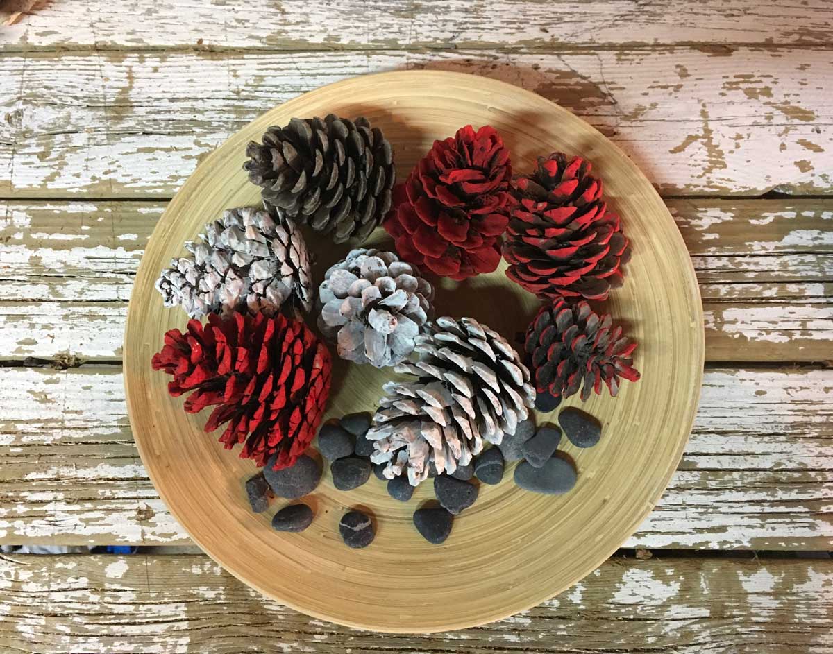 Pigne dipinte in una ciotola