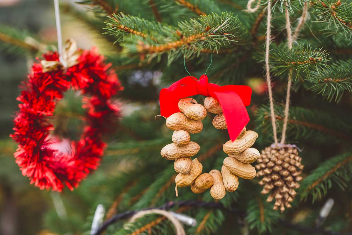 frutta secca per decorare l'albero
