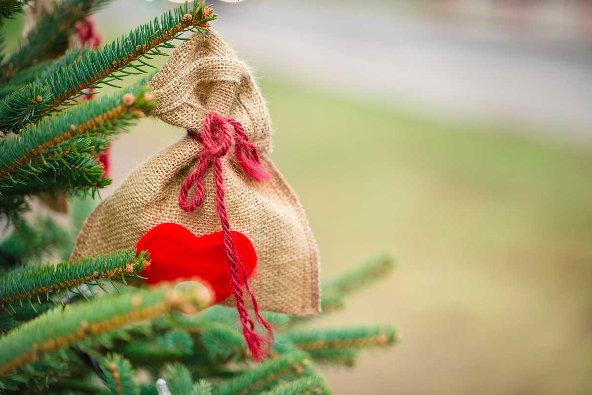 sacchettini di juta sull'albero
