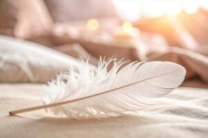 Piume che escono dal piumino? Il trucco per richiuderle e non perderle più