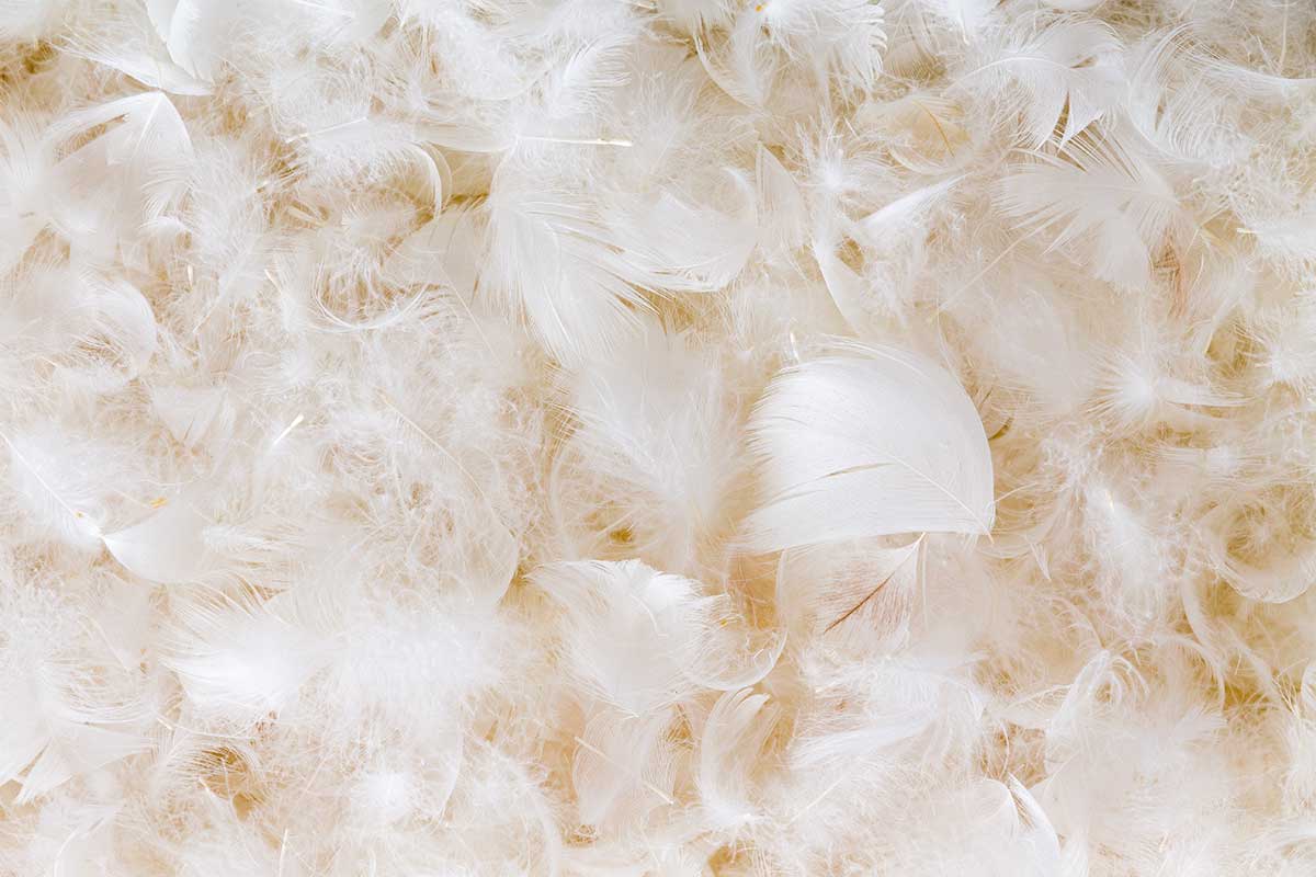 Piumino d’oca soffice e pulito: come lavarlo e asciugarlo senza rovinarlo