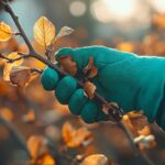 Potature in autunno: cosa tagliare e cosa evitare assolutamente