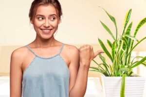 Metti una Sanseveria in camera da letto e dormi meglio: lo dice anche la NASA