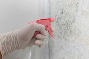 Muffa sui muri? Prova questo spray naturale fai da te e sparisce in pochi minuti