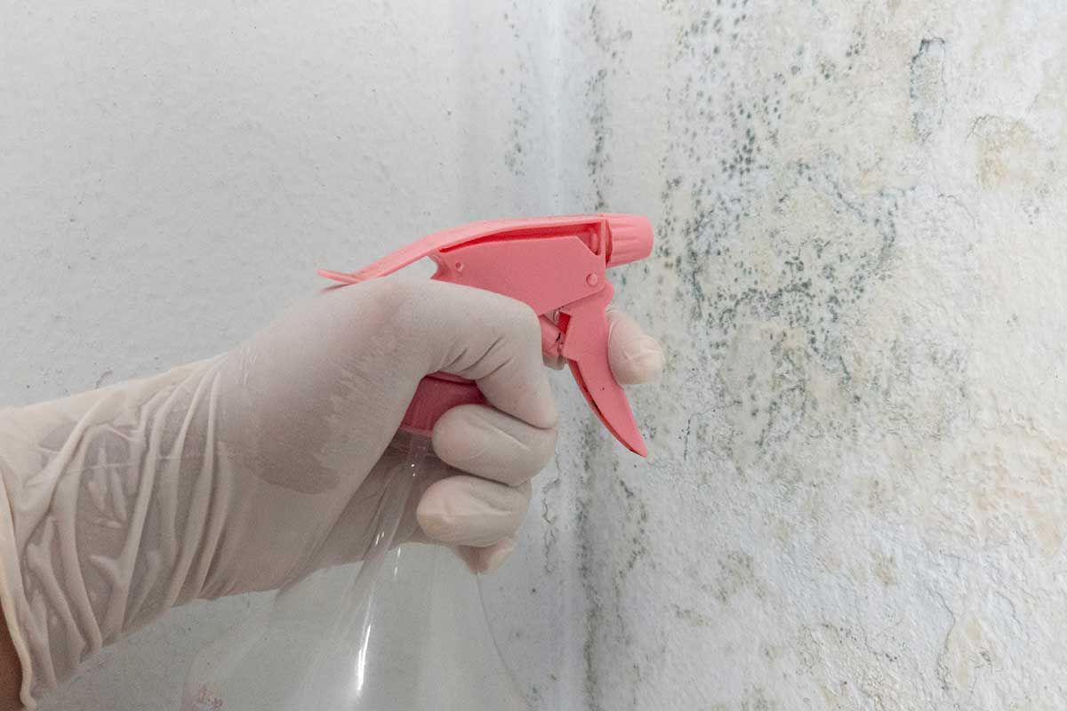 Muffa sui muri? Prova questo spray naturale fai da te e sparisce in pochi minuti