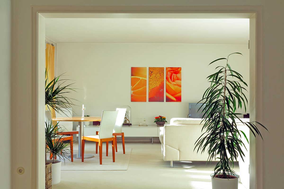 Soggiorno luminoso con pareti chiare, arredi moderni e dettagli arancioni, visto da una porta con grandi piante verdi.