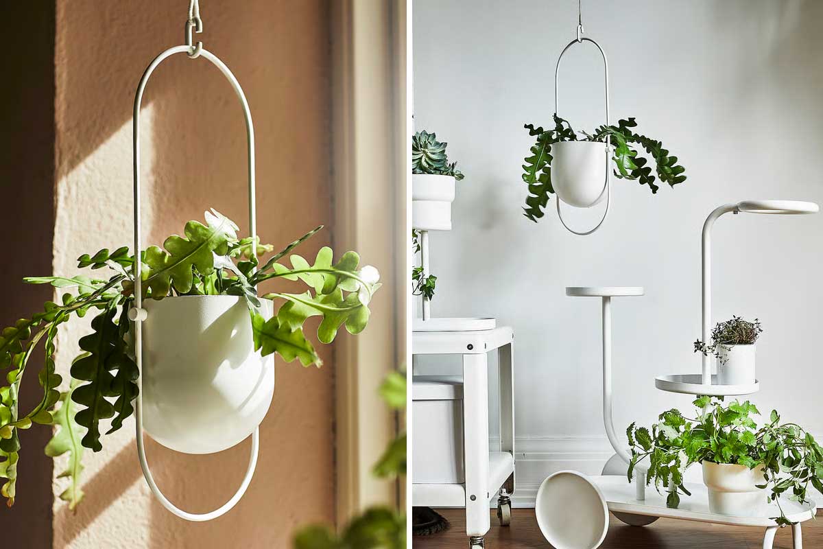 portavasi CHILISTRÅN di IKEA