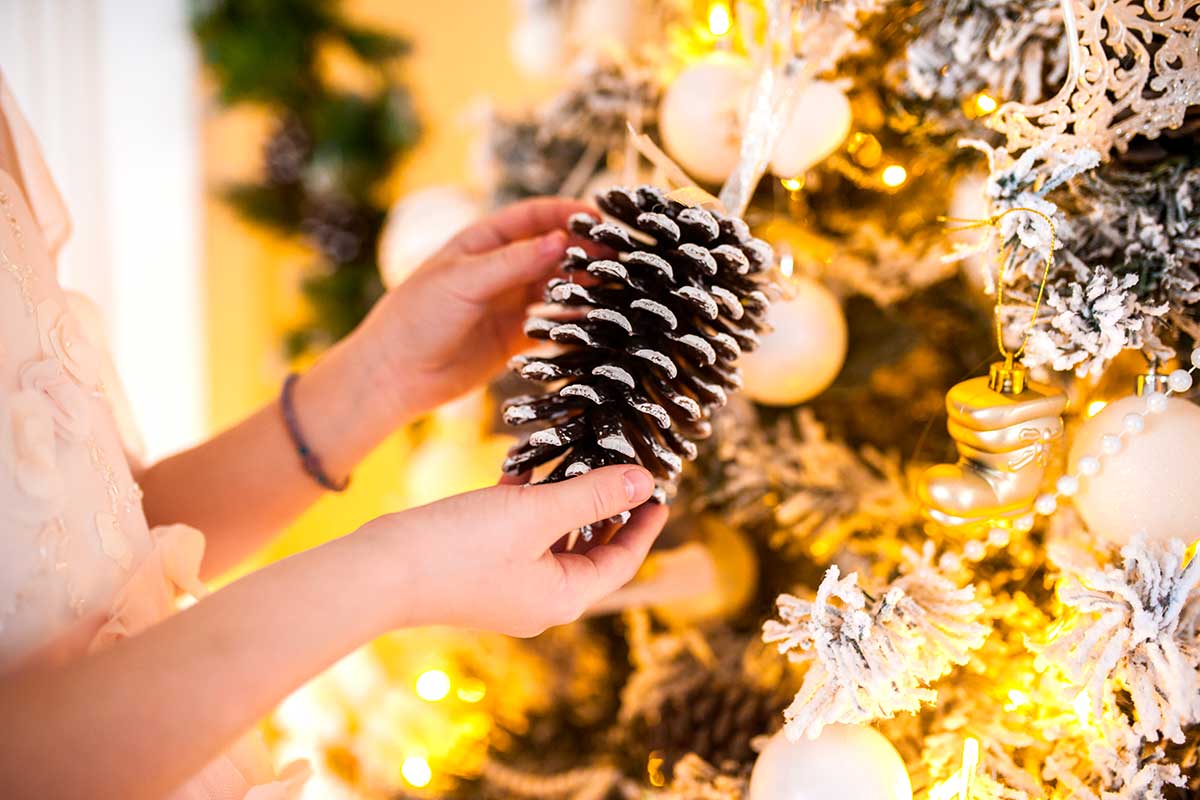 Pigna innevata sull'albero di Natale