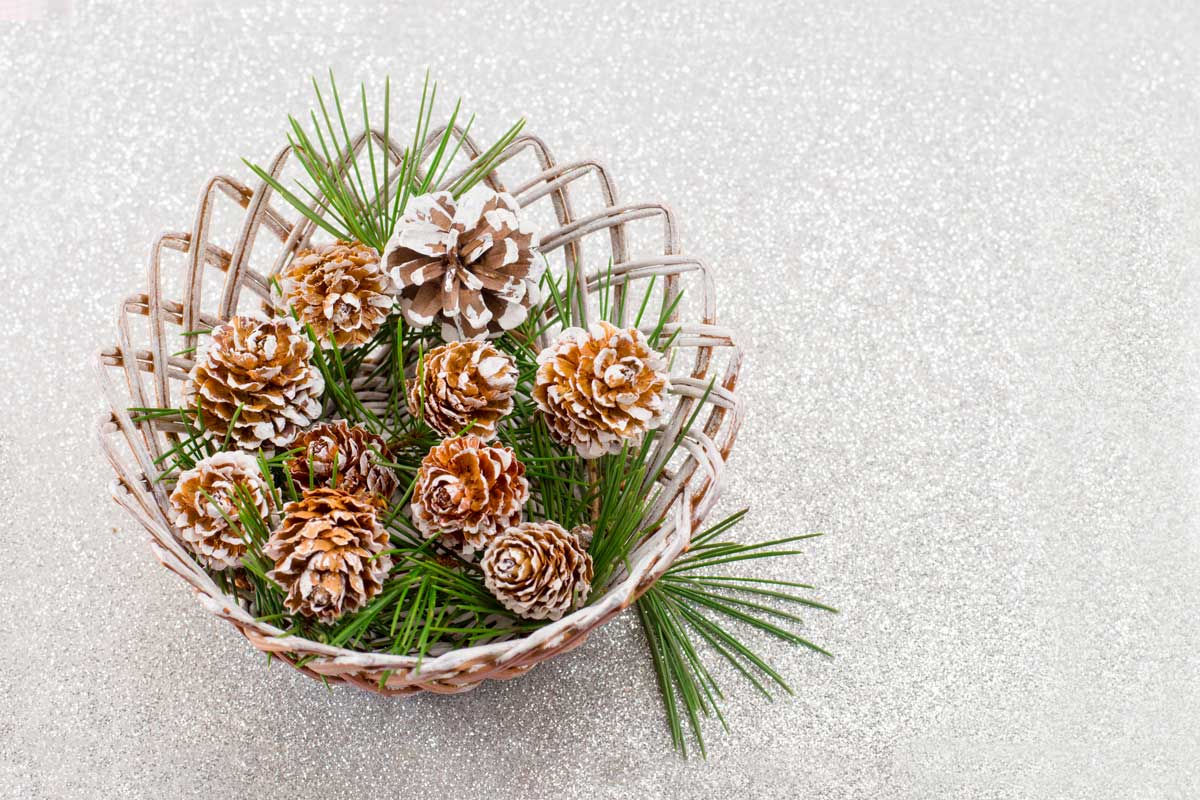 Vassoi in legno intrecciato con pigne e rami di pino