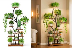 Piante da interno e poca luce: la soluzione salvaspazio e di design che funziona davvero