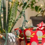 Hai ricevuto una Sansevieria? I 3 gesti semplici per farla durare anni