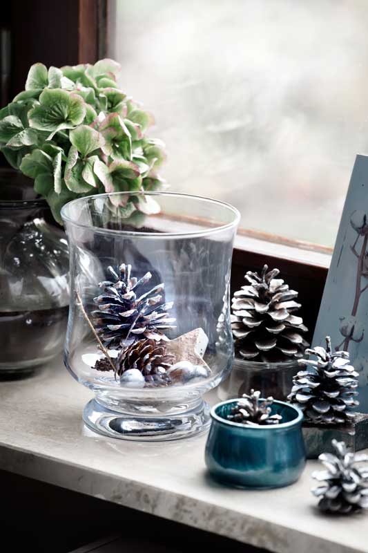 Vaso di vetro con pigne innevate e piccole decorazioni naturali su un davanzale, accanto a una pianta verde e altri elementi decorativi invernali, illuminato dalla luce di una finestra.
