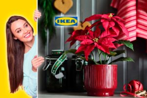 La tua stella di Natale sarà ancora più bella con questo vaso IKEA dal prezzo sorprendente