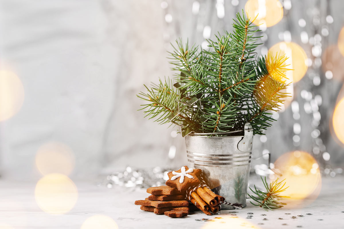 Vaso natalizio low budget: secchiello di latta riempito di rami d’abete fresco, biscotti speziati a forma di stella e bastoncini di cannella su fondo chiaro, luci soffuse e atmosfera festiva. 