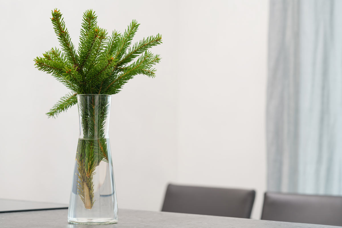 Vaso natalizio trasparente minimal: caraffa di vetro con acqua e rami di abete freschi, su sfondo chiaro e moderno, stile essenziale e naturale. 