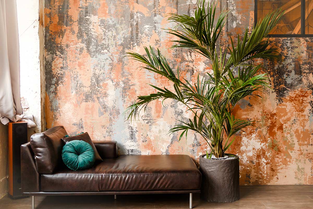 Chaise longue in pelle marrone con cuscino verde davanti a parete effetto materico arancione e grigia, grande pianta (Kentia) in vaso nero e luce naturale laterale.