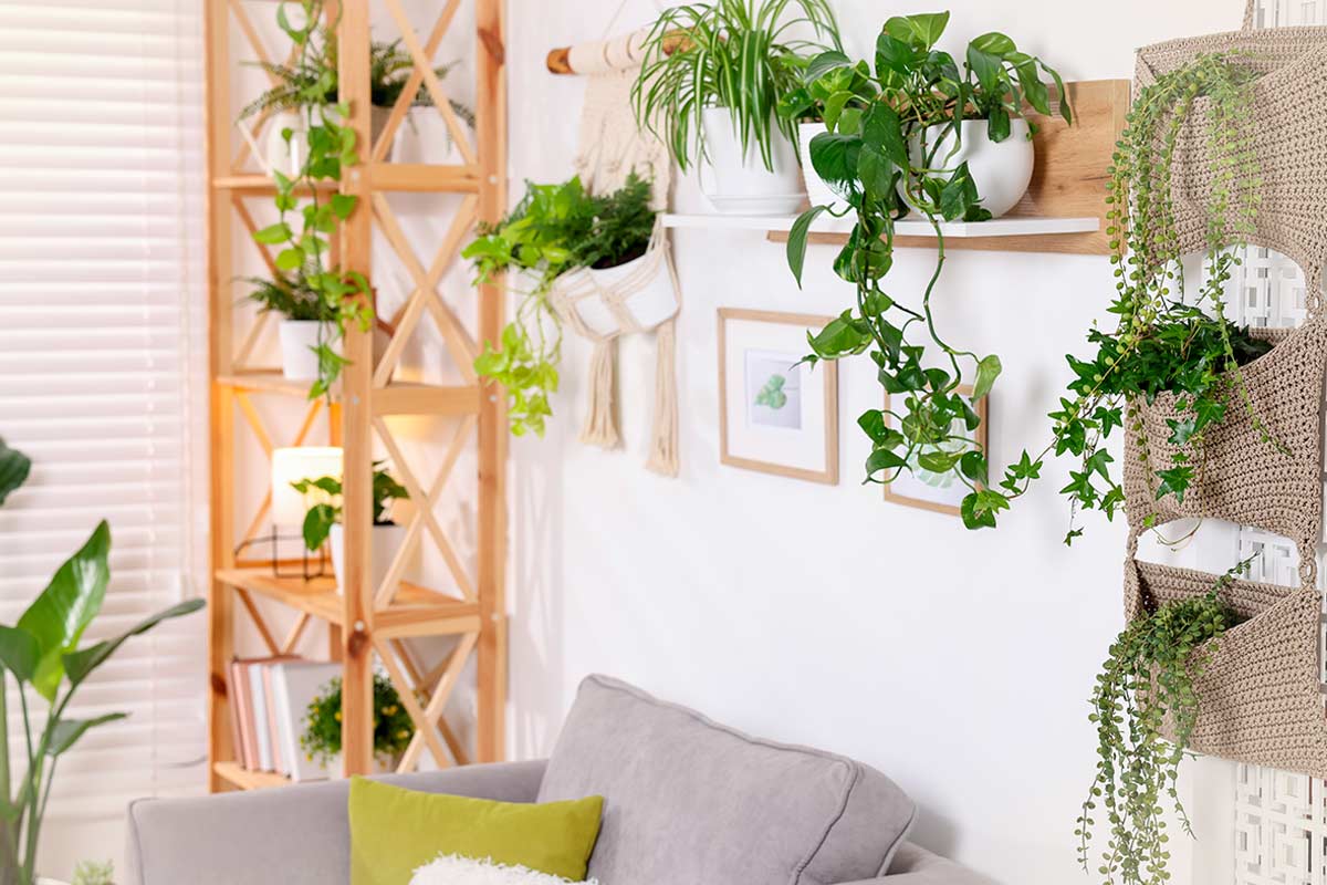 Decorare le mensole con le piante: l’errore che le fa sembrare subito caotiche