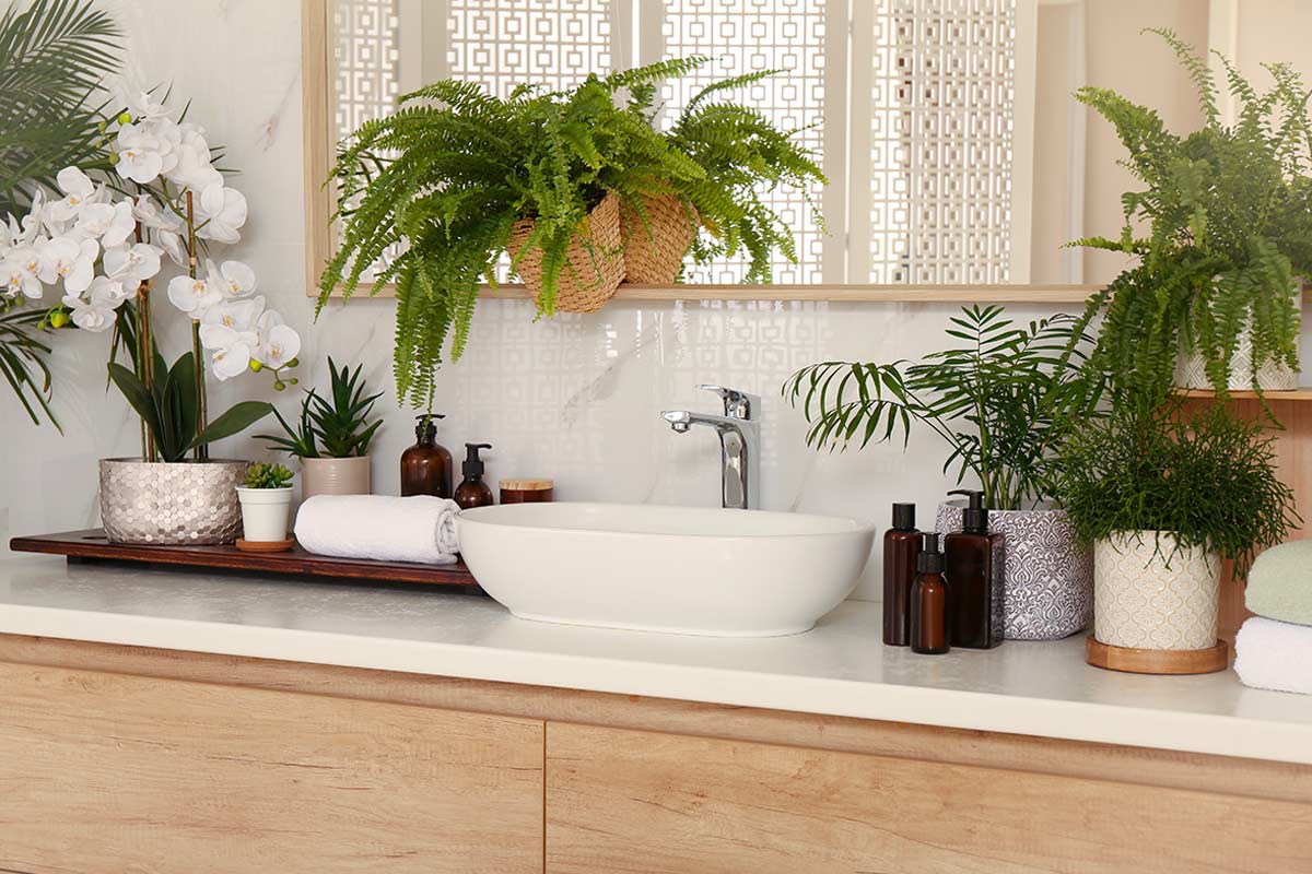 Bagno moderno con felce di Boston sospesa sopra il lavabo, piante verdi e dettagli spa. Ambiente luminoso con elementi naturali e atmosfera rilassante.