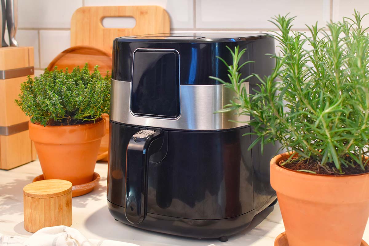 Friggitrice ad aria con piante aromatiche.