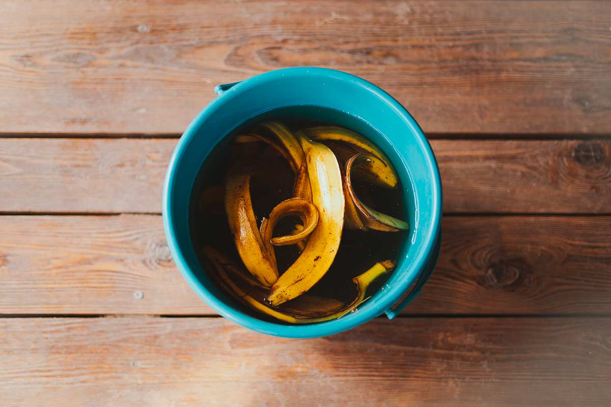 bucce di banana in acqua, preparazione del fertilizzante naturale