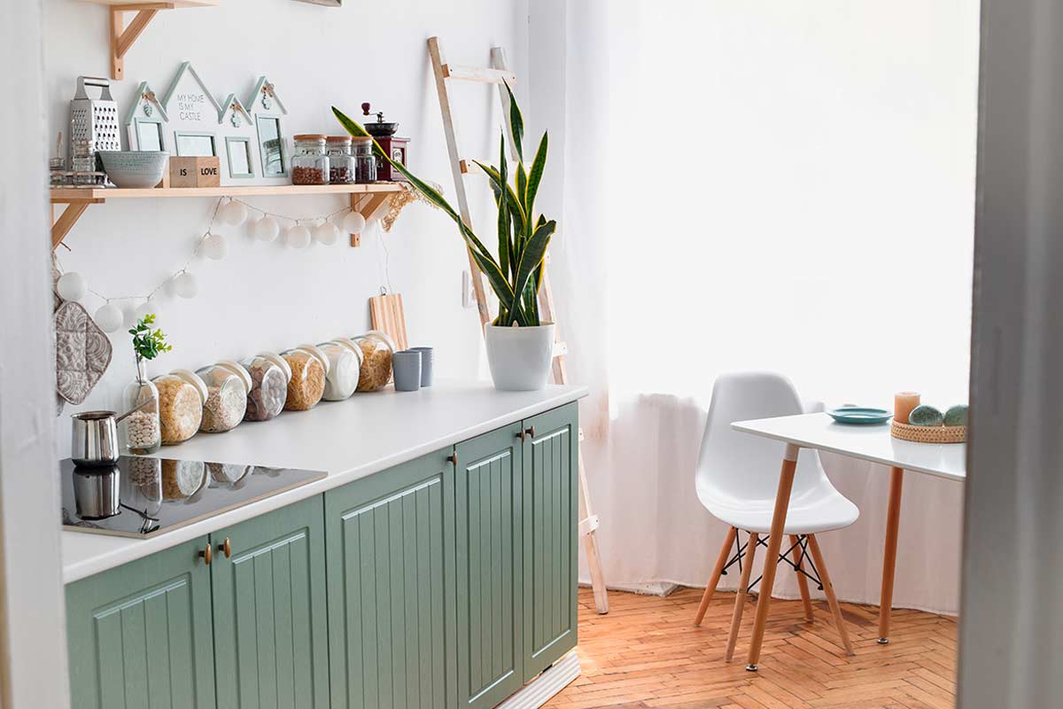 Come scegliere le piante per una cucina luminosa o buia