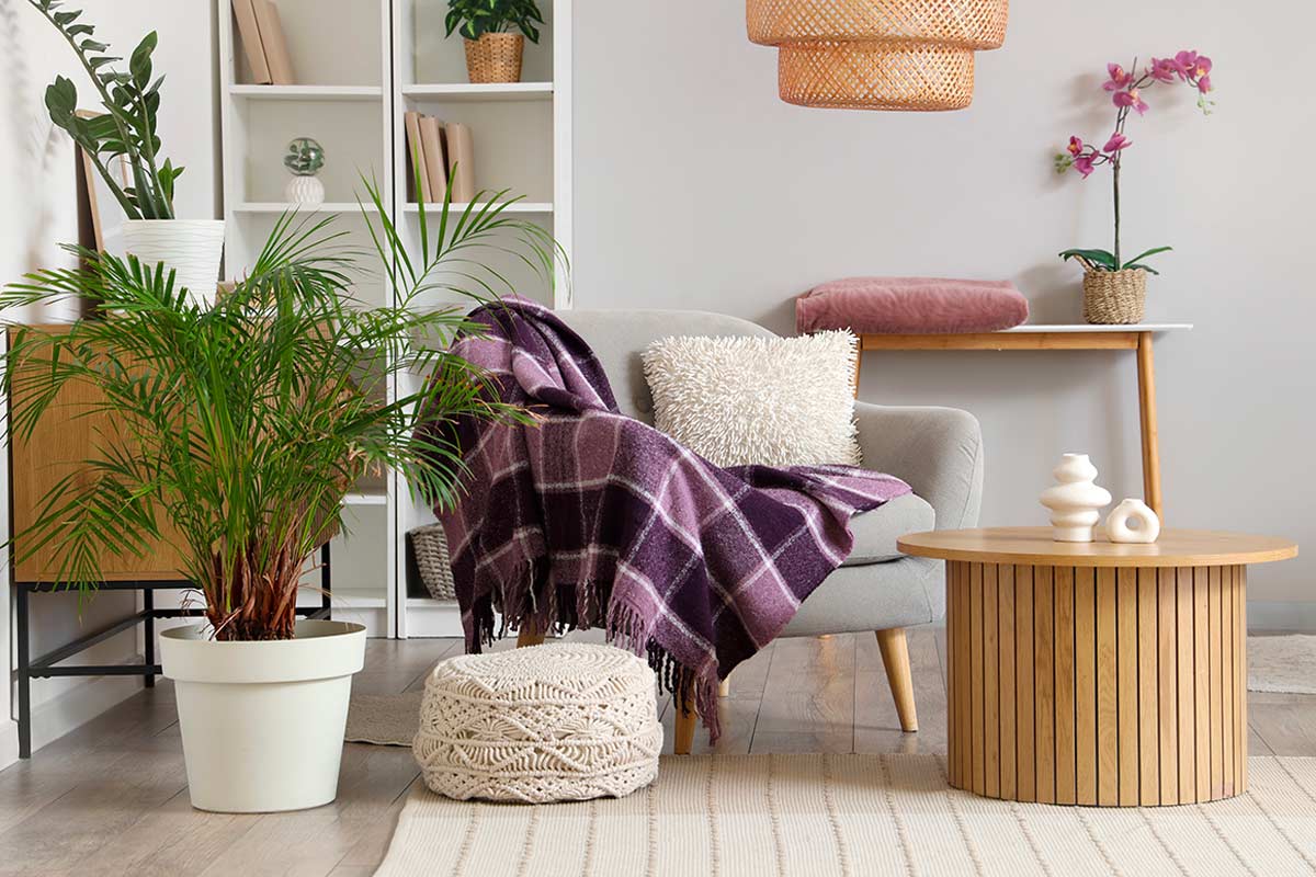 Plaid malva su poltrona grigia in soggiorno moderno con piante e tavolino in legno.