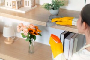 donna pulisce uno scaffale con spray antistatico fai da te, foto di © wichayada - stock.adobe.com