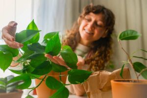 Come e quando effettuare il taglio del pothos per ottenere nuove radici
