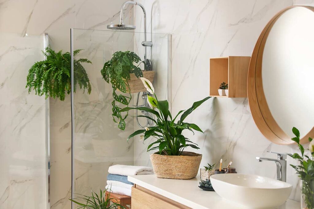 La “squadra verde” contro l’aria viziata: come trasformare il bagno in un ecosistema sano