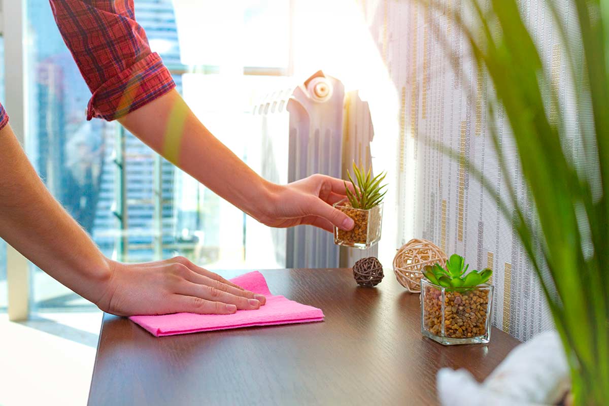 Persona che riordina una superficie con piante e decorazioni minimal.