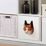 Hai una libreria KALLAX? Con 30€ diventa il rifugio perfetto per il tuo gatto Casetta Kallax di IKEA per gatti