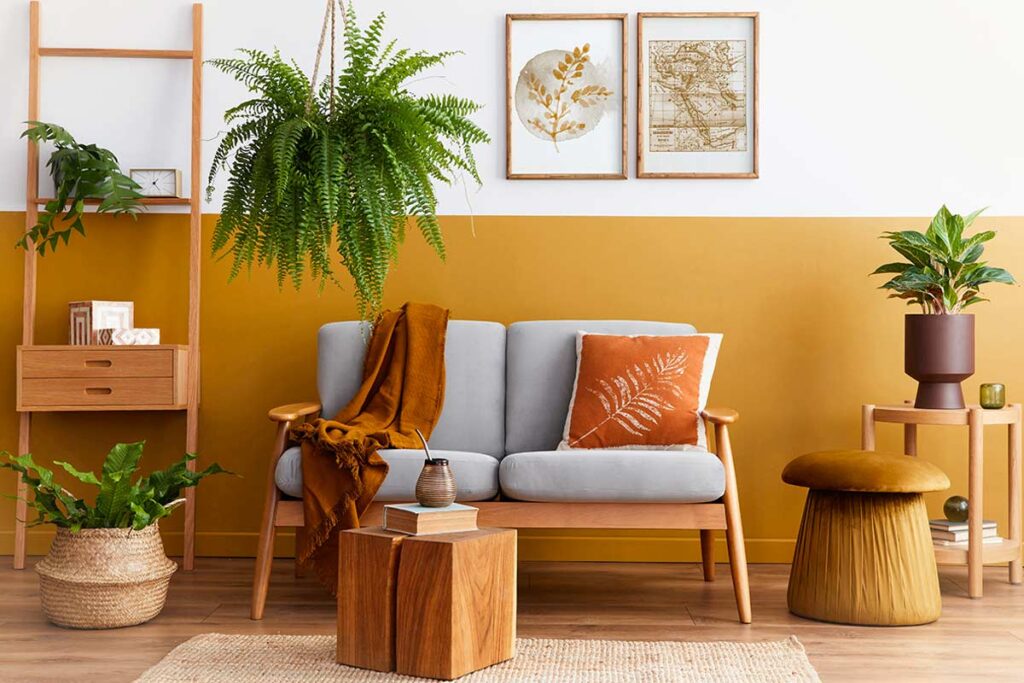 L’angolo verde che cambia l’umore: come disporre le piante per altezza e creare equilibrio, senza caos