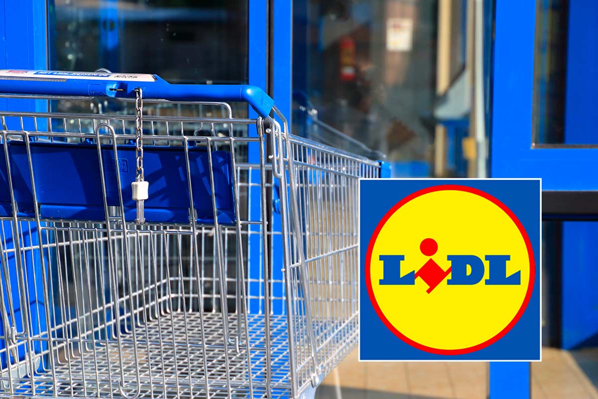 Offerte per il fai da te da Lidl dal 23 febbraio 2026